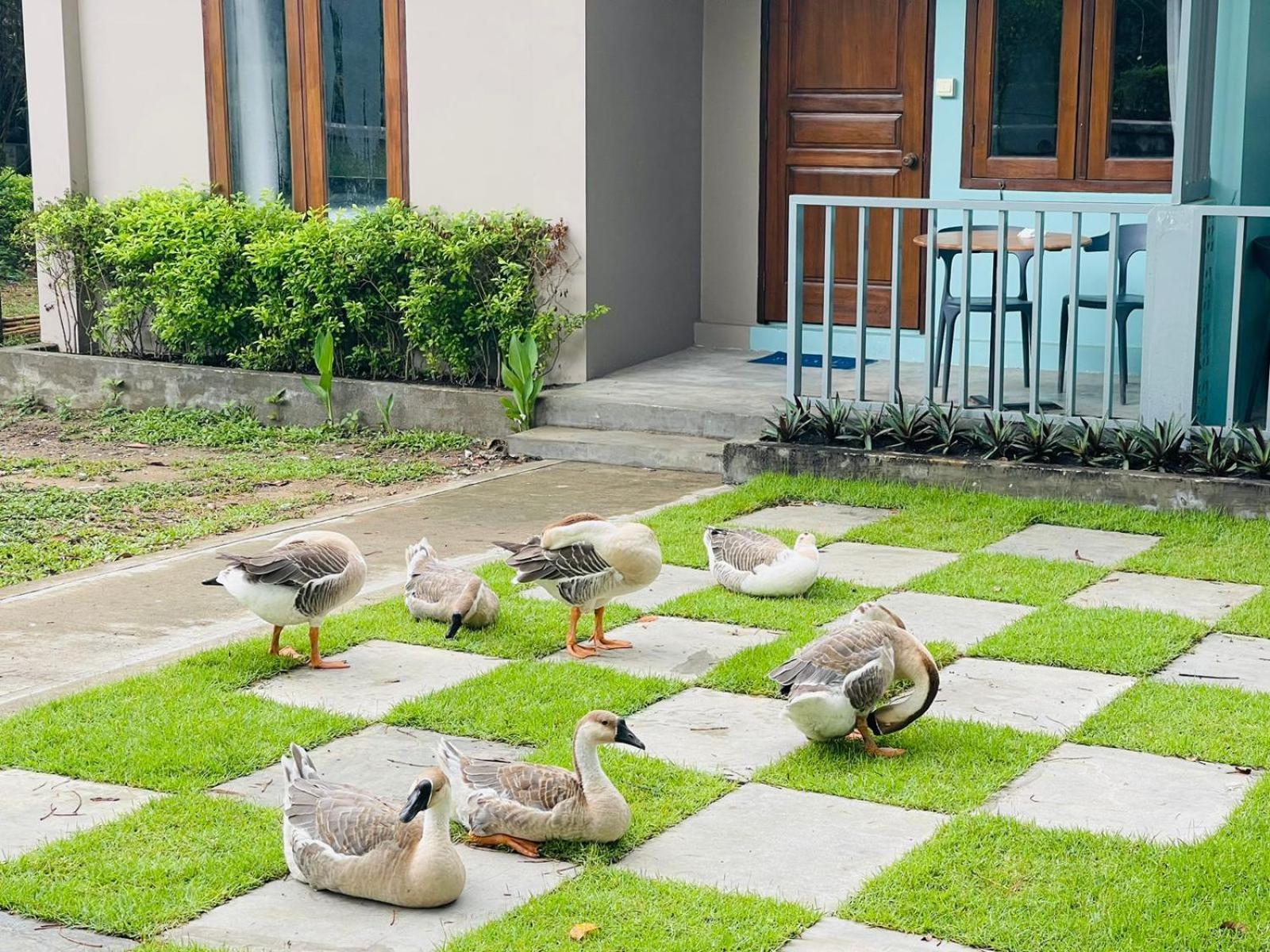 Wh Hotel & Service Apartment Thanlyin Extérieur photo